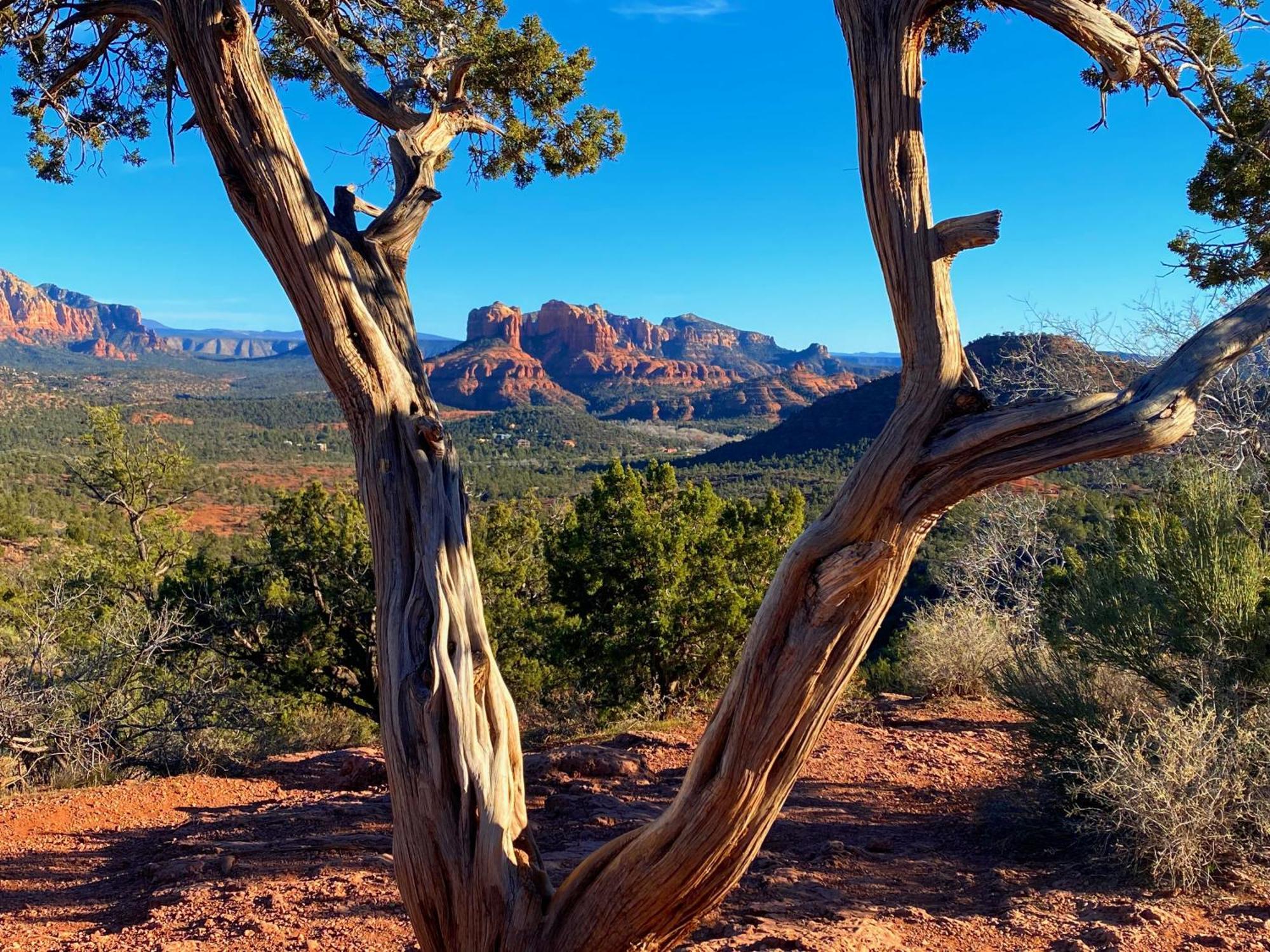 Sedona'S Paradise Found, Saltwater Pool And Hot Tub, Private Oasis! Exterior photo
